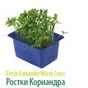 салат Романо экспортного качества в Красноярске 2